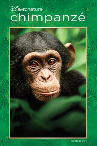 Assistir Chimpanzé online