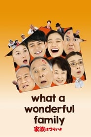 Assistir What a Wonderful Family! online