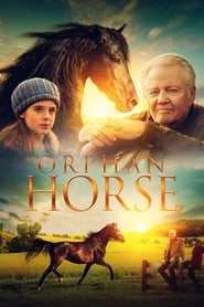Assistir Orphan Horse online