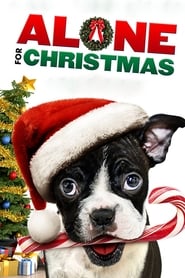 Assistir Alone for Christmas online