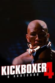 Assistir Kickboxer 4: O Agressor online