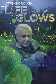 Assistir Attenborough's Life That Glows online