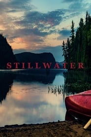 Assistir Stillwater online
