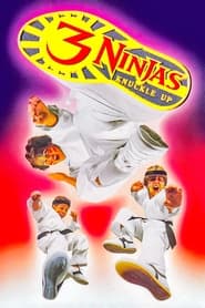 Assistir 3 Ninjas em Apuros online