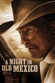 Assistir A Night in Old Mexico online