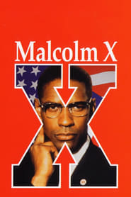 Assistir Malcolm X online