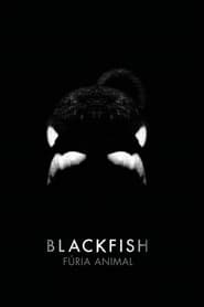 Assistir Blackfish: Fúria Animal online