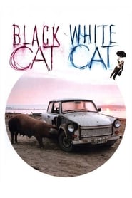 Assistir Gato Preto, Gato Branco online