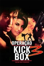 Assistir Operação Kickbox 3 - Sem Retorno online