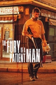 Assistir The Fury of a Patient Man online