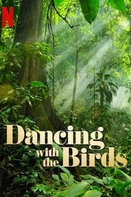 Assistir Dança dos Pássaros online