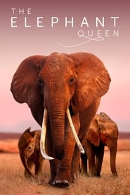 Assistir A Rainha Elefante online