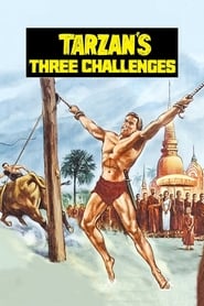 Assistir Os Três Desafios De Tarzan online