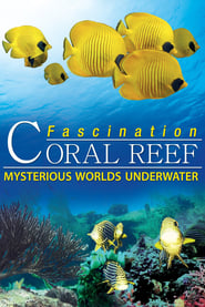 Assistir Fascination Coral Reef: Mysterious Worlds Underwater online