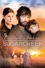 Assistir Encontrando o Amor em Sugarcreek online