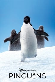 Assistir Pinguins online