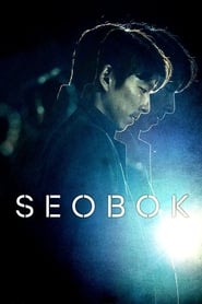 Assistir Seobok online