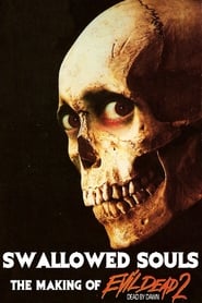 Assistir Swallowed Souls: The Making of Evil Dead 2 online