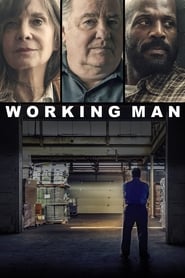 Assistir Working Man online