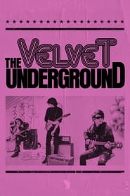 Assistir The Velvet Underground online