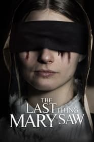 Assistir The Last Thing Mary Saw online