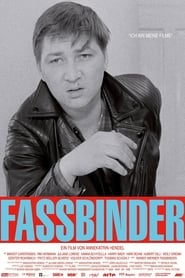 Assistir Fassbinder online