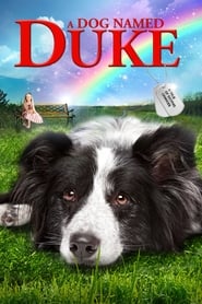 Assistir A Dog Named Duke online