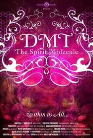 Assistir DMT: The Spirit Molecule online