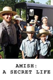Assistir Amish: A Secret Life online