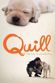 Assistir Quill:  The Life of a Guide Dog online