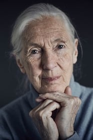 Assistir Filmes de Jane Goodall