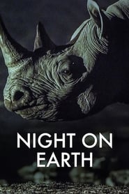 Assistir A Terra à Noite online