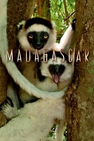 Assistir Madagascar online