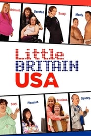 Assistir Little Britain USA online