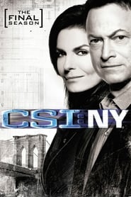 Assistir CSI: Nova York online