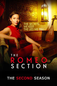 Assistir The Romeo Section online