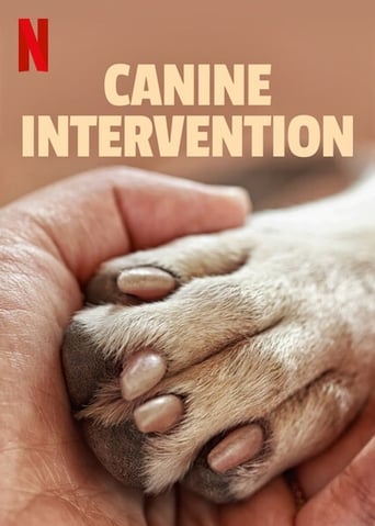 Assistir Intervenção Canina online